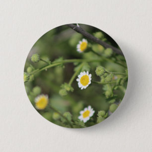 Macaron Rond 5 Cm Fleur sauvage d'Ivoire Desert Rock Daisy Coachella