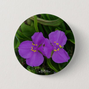 Macaron Rond 5 Cm Fleur sauvage Fuchsia Spiderwort Hot Springs Cadea