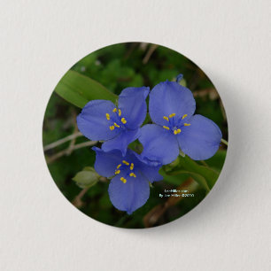 Macaron Rond 5 Cm Fleurs sauvages Blue Spiderwort Hot Springs AR Cad