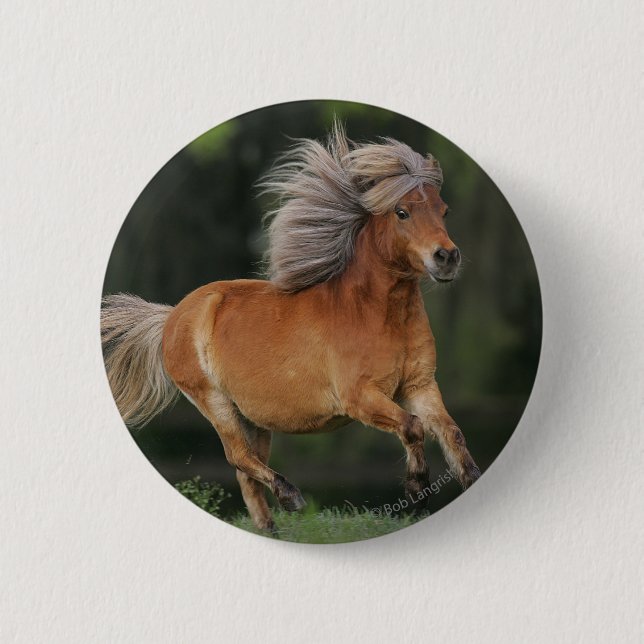 Macaron Rond 5 Cm Fonctionnement miniature de cheval (Devant)