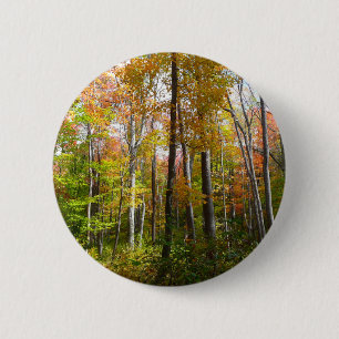 Macaron Rond 5 Cm Forêt d'automne I Photographie de paysage automnal