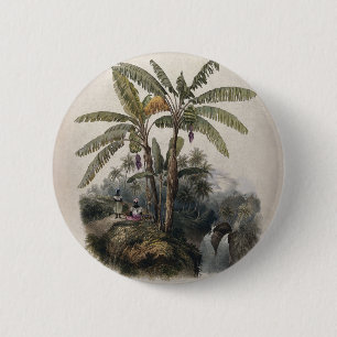 Macaron Rond 5 Cm Forêt tropicale antique de bananiers   Bota vintag