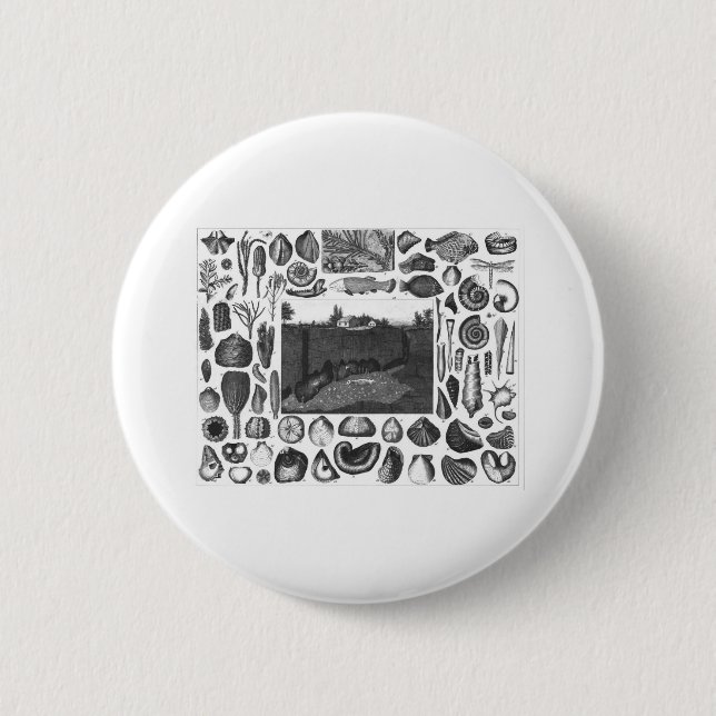 MACARON ROND 5 CM FOSSILES (Devant)