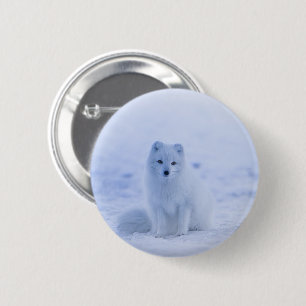 Macaron Rond 5 Cm Fox arctique de l'Islande