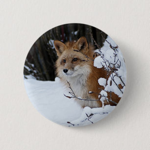 Macaron Rond 5 Cm Fox rouge dans la neige