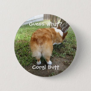 Macaron Rond 5 Cm Funny Corgi Butt Devine Quel Humour Photo