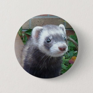 Macaron Rond 5 Cm Furet de putois