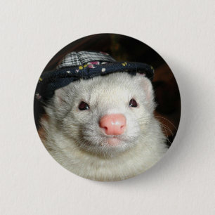 Macaron Rond 5 Cm furet et le casquette