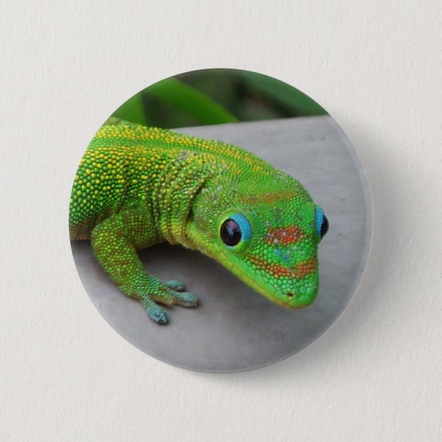 Macaron Rond 5 Cm Gecko Gold Dust Day - Audition et obtenir quelques (Devant)