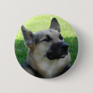 Macaron Rond 5 Cm German Shepherd