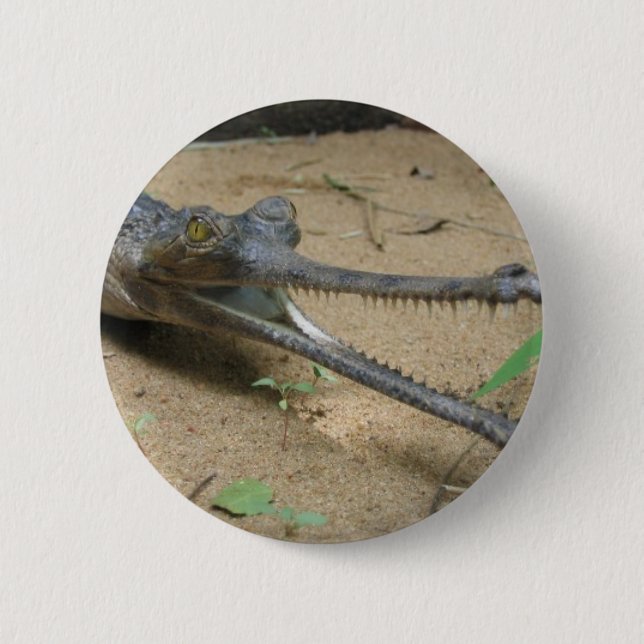 Macaron Rond 5 Cm Gharial (Devant)