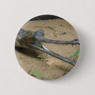Macaron Rond 5 Cm Gharial