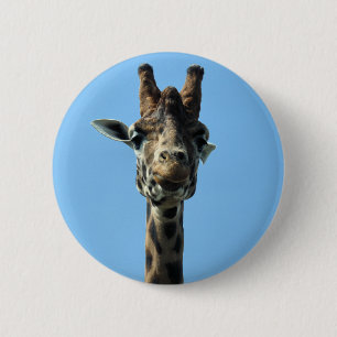 MACARON ROND 5 CM GIRAFFE