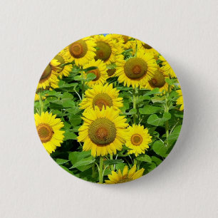Macaron Rond 5 Cm Gisements de tournesol