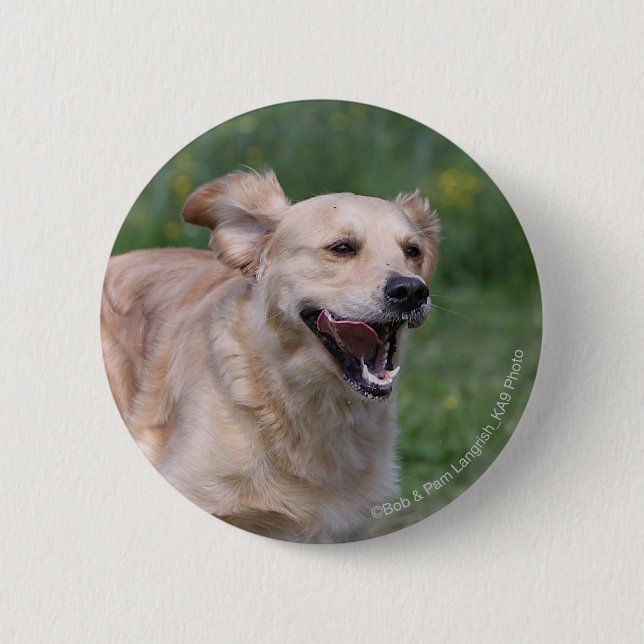 Macaron Rond 5 Cm Golden retriever courant 1 (Devant)