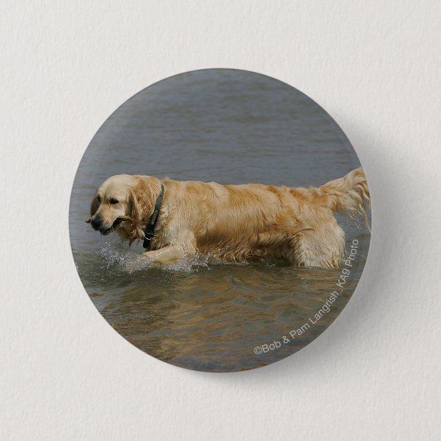 Macaron Rond 5 Cm Golden retriever dans l'eau (Devant)