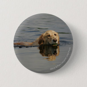 Macaron Rond 5 Cm Golden retriever nageant