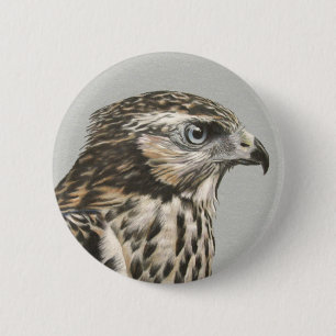 Macaron Rond 5 Cm Goshawk immature