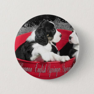 Macaron Rond 5 Cm Goupilles de chiot de Springer