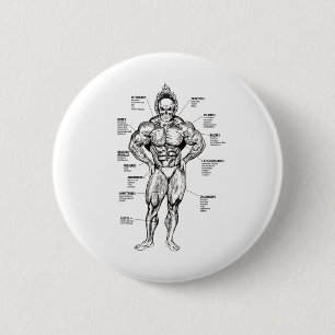 Macaron Rond 5 Cm Graphique des muscles et guide d'exercice - Motiva