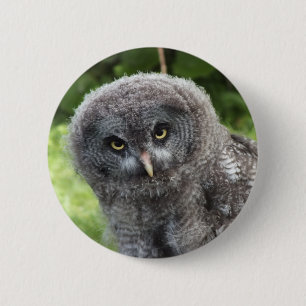 MACARON ROND 5 CM GRAY OWL
