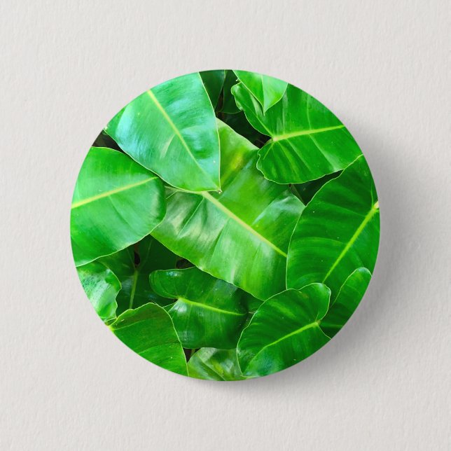 Macaron Rond 5 Cm Green feuille Palm Leaf feuillage tropical jungle (Devant)