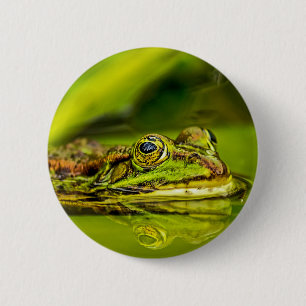 Macaron Rond 5 Cm grenouille à eau