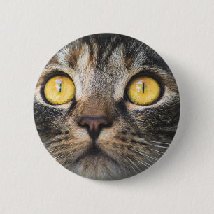 Macaron Rond 5 Cm Gros plan de chat avec Yellow Eyes