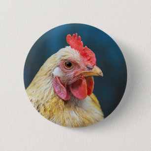 Macaron Rond 5 Cm Gros plan du poulet