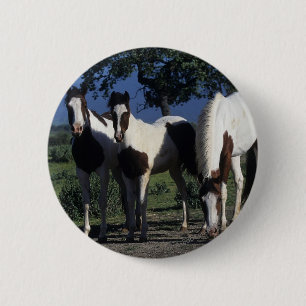 Macaron Rond 5 Cm Groupe de chevaux de peinture