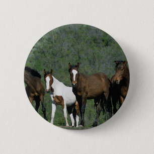 Macaron Rond 5 Cm Groupe de chevaux sauvages de mustang