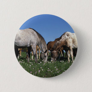 Macaron Rond 5 Cm Groupe de pâturage de chevaux d'Appaloosa