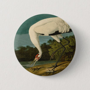 Macaron Rond 5 Cm Grue blanche Audubon Peinture d'oiseaux