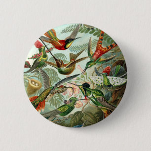 Macaron Rond 5 Cm Haeckel