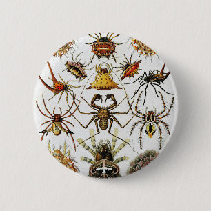 Macaron Rond 5 Cm Haeckel Golden Spiders plaque 66