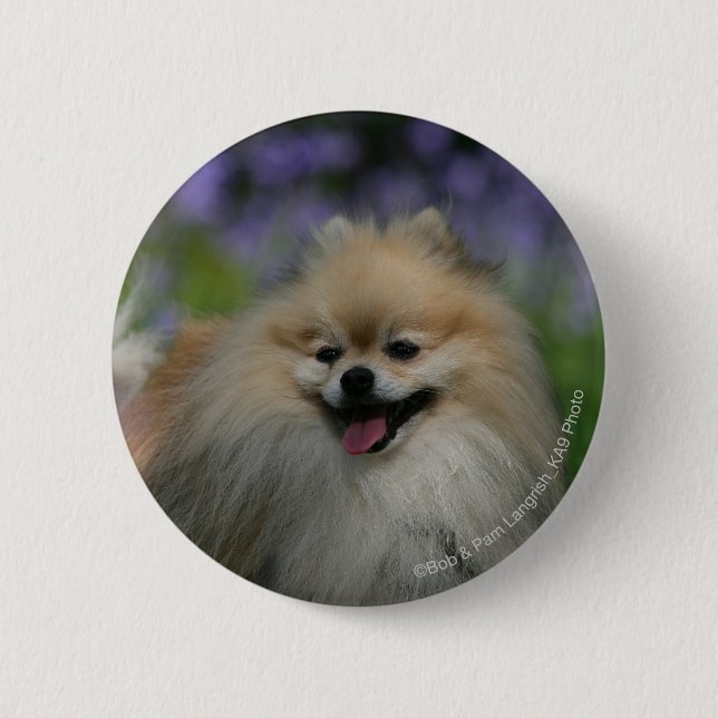 Macaron Rond 5 Cm Halètement de Pomeranian (Devant)