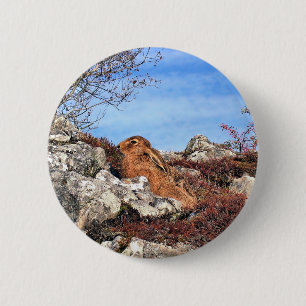 MACARON ROND 5 CM HARE