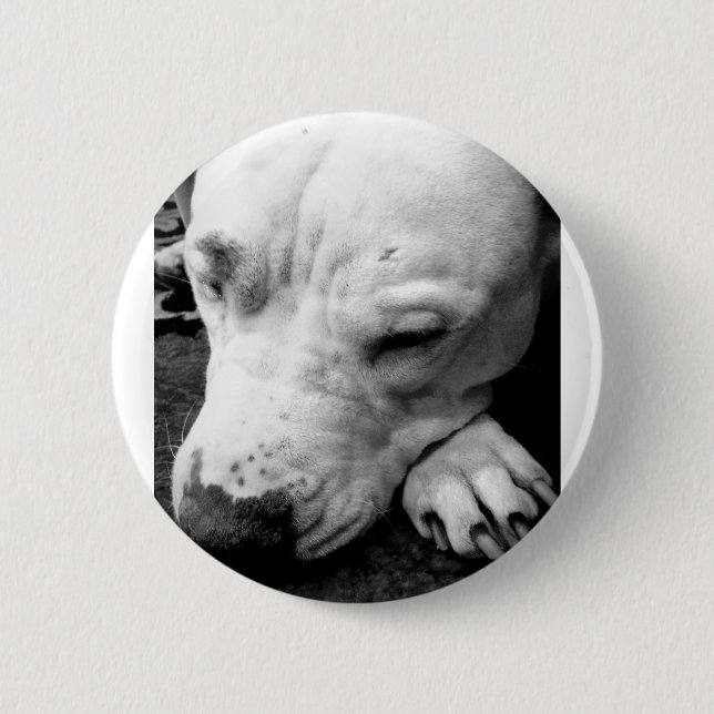 Macaron Rond 5 Cm harry potier cicatrice chien blanc pit bull (Devant)