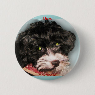 Macaron Rond 5 Cm Hava Havanese !