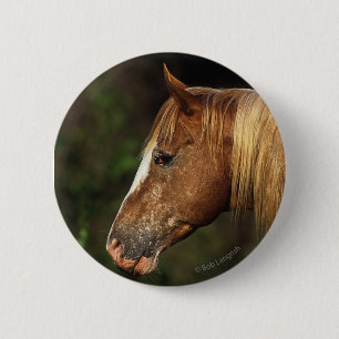 Macaron Rond 5 Cm Headshot 1 de cheval d'Appaloosa