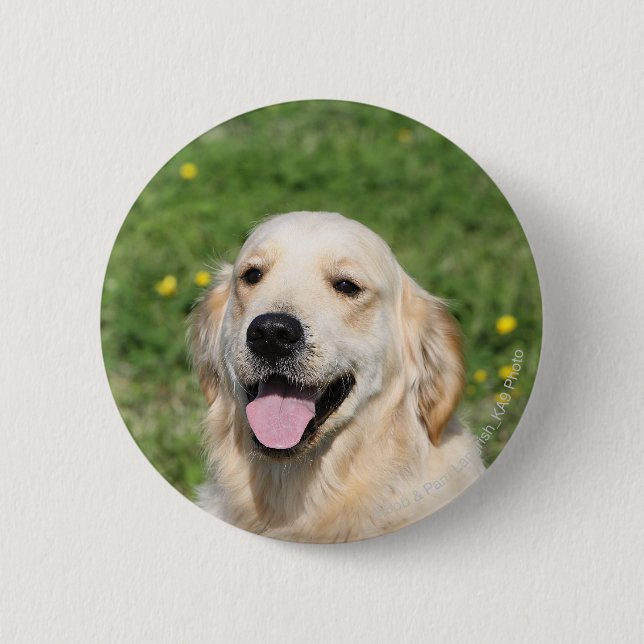 Macaron Rond 5 Cm Headshot 1 de golden retriever (Devant)