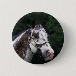 Macaron Rond 5 Cm Headshot 2 de cheval d'Appaloosa