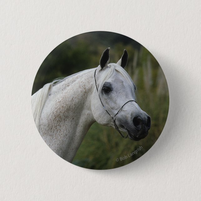Macaron Rond 5 Cm Headshot arabe 1 de cheval (Devant)