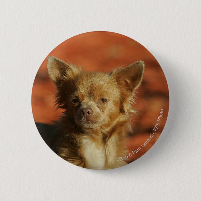 Macaron Rond 5 Cm Headshot de chiot de chiwawa (Devant)