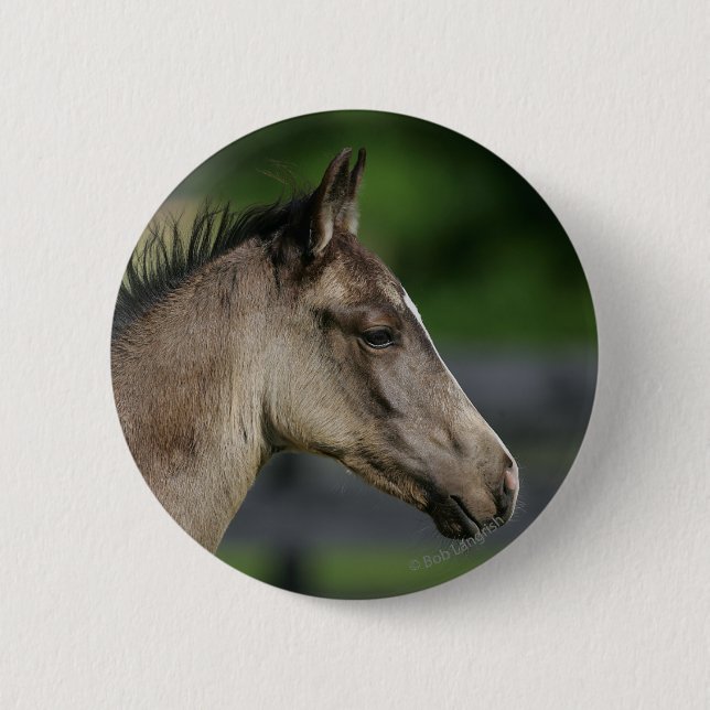 Macaron Rond 5 Cm Headshot quart de poulain de cheval (Devant)