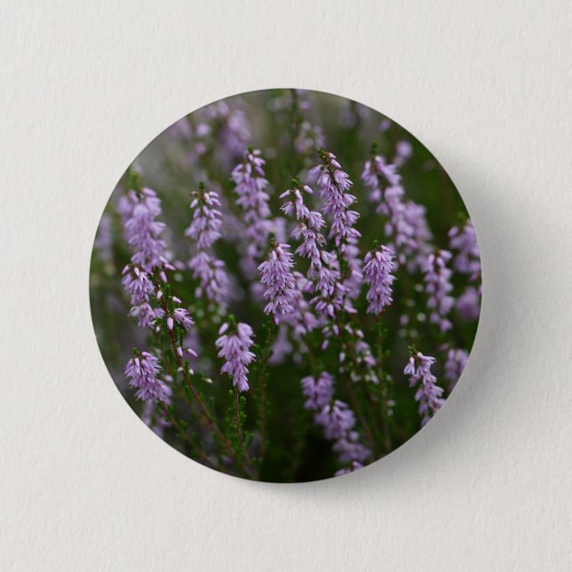Macaron Rond 5 Cm Heather commune (Calluna vulgaris) (Devant)