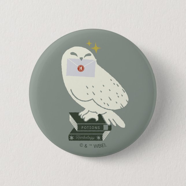 Macaron Rond 5 Cm Hedwig With Letter Whimsical Drawing (Devant)