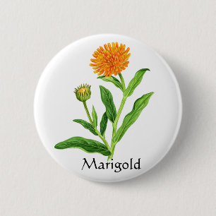 Macaron Rond 5 Cm Herb Garden Series - Marigold
