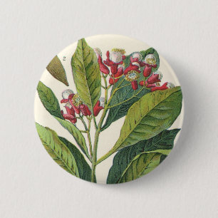 Macaron Rond 5 Cm Herbes alimentaires vintages Épices, Cloches Plant