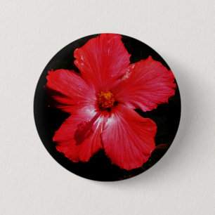 Macaron Rond 5 Cm Hibiscus rouge